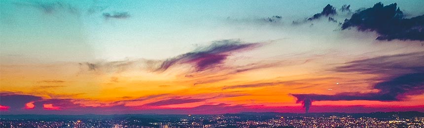 枣阳茶虫网_枣阳品茶